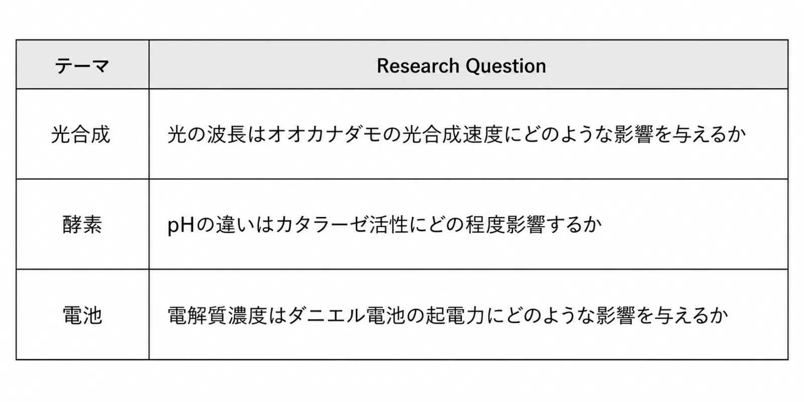EE テーマとResearch Questionの違い